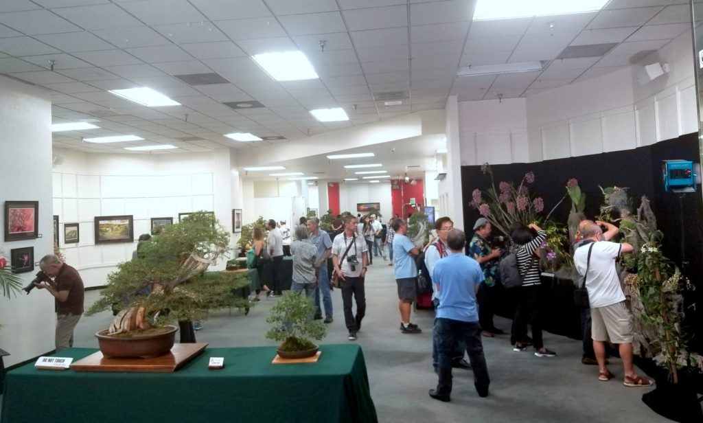 Toàn cảnh phòng triển lãm tranh ảnh và bonsai tại Westminster Mall.