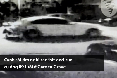 canh-sat-tim-nghi-can-hit-and-run-cu-ong-89-tuoi-o-garden-grove