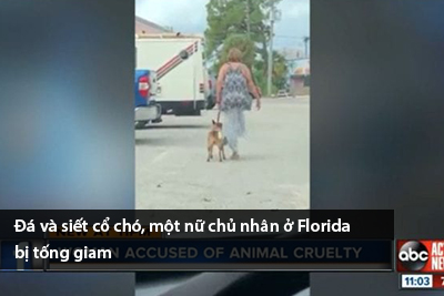 da-va-siet-co-cho-mot-nu-chu-nhan-o-florida-bi-tong-giam