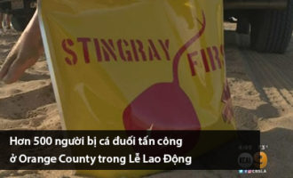 hon-500-nguoi-bi-ca-duoi-tan-cong-o-orange-county-trong-le-lao-dong