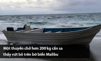 mot-thuyen-cho-hon-200-kg-can-sa-thay-vut-bo-tren-bo-bien-malibu